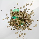 Gulf Orchid Musk Tahara Pistachio - Eau De Parfum 60mlD