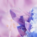 Gulf Orchid Musk Collection Mysterious Tahara Eau De Parfum 60mlD