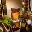 D&G The One EDT A
