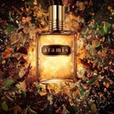 Aramis Aramis For Men - Eau De Toilette 110mlA copy 2