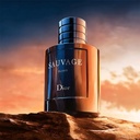 CD Dior Sauvage Elixir Vaporisateur 100MLA