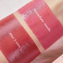 Sheglam Take A Hint Lip TintA