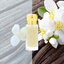 Musk Collection Oil 12ML - Tahara VanillaA