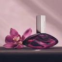 Calvin Klein Ck Euphoria Women EDPC
