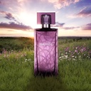 Lalique Amethyst EDP C