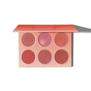 Sheglam Floral Flush Blush Palette 6 Color