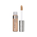 Rimmel Multi Tasker Concealer 