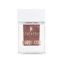 Character Chromatic Sparkling Eyeshadow Powder