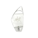 Sculpture Homme EDT 100ML