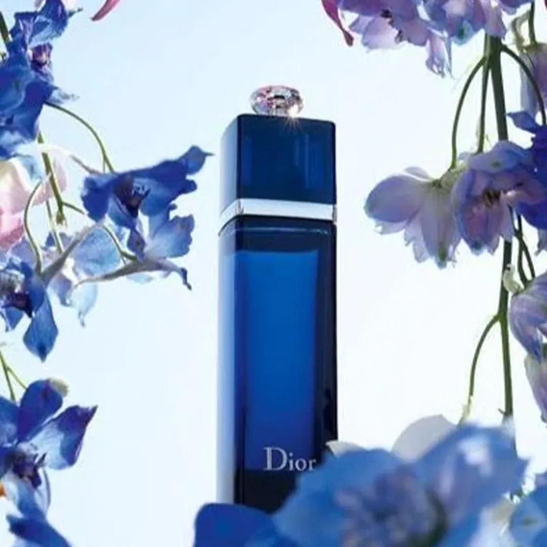 Dior Addict EDP 100ML alternate view